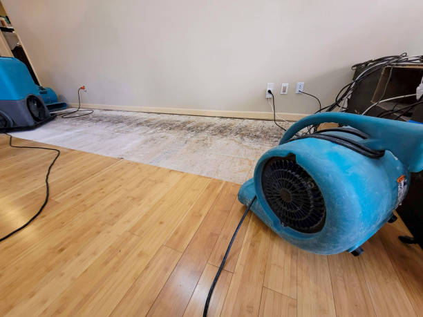 Professional Sewage Cleanup technician working in Leonard, TX